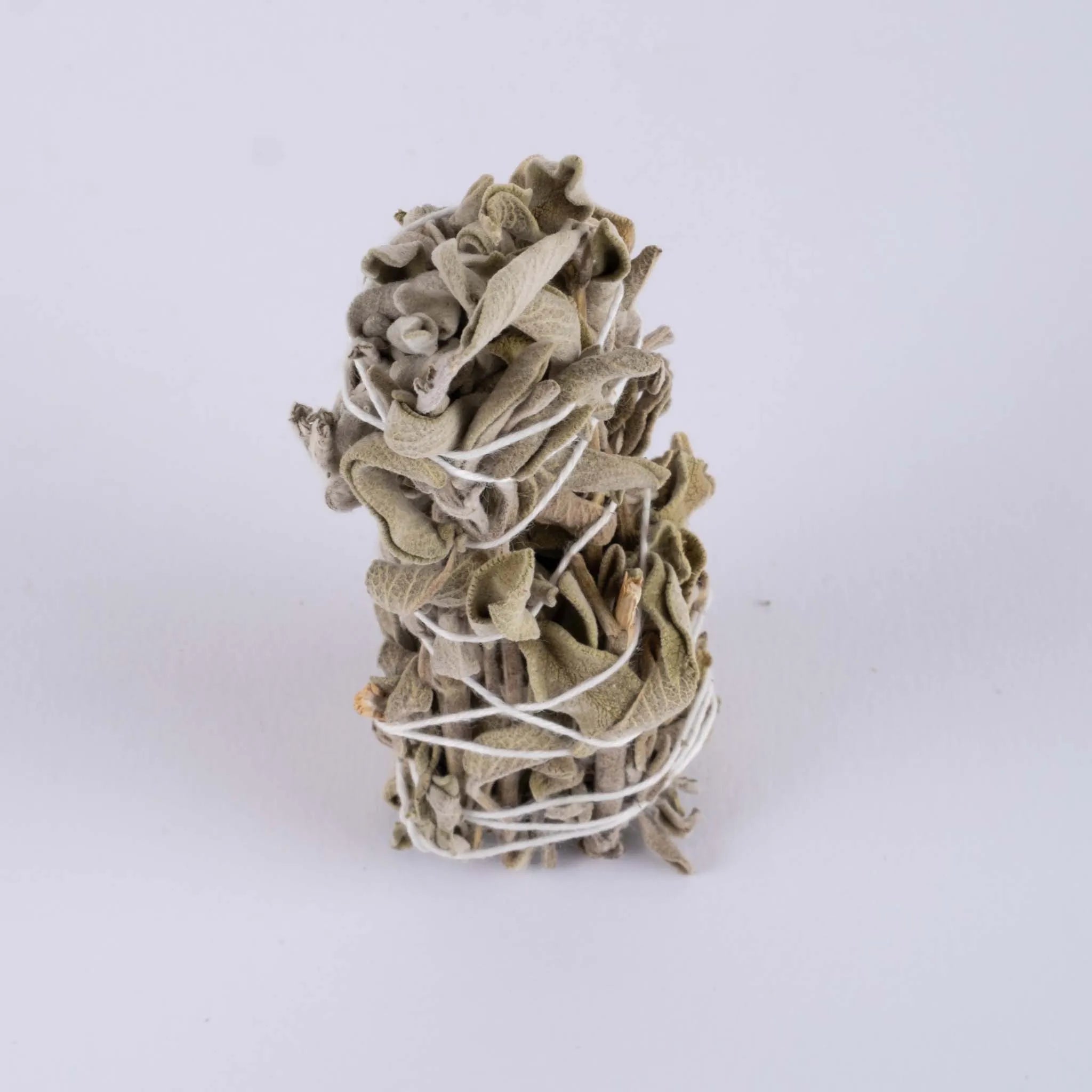 Premium White Sage - Body and Soul Goods