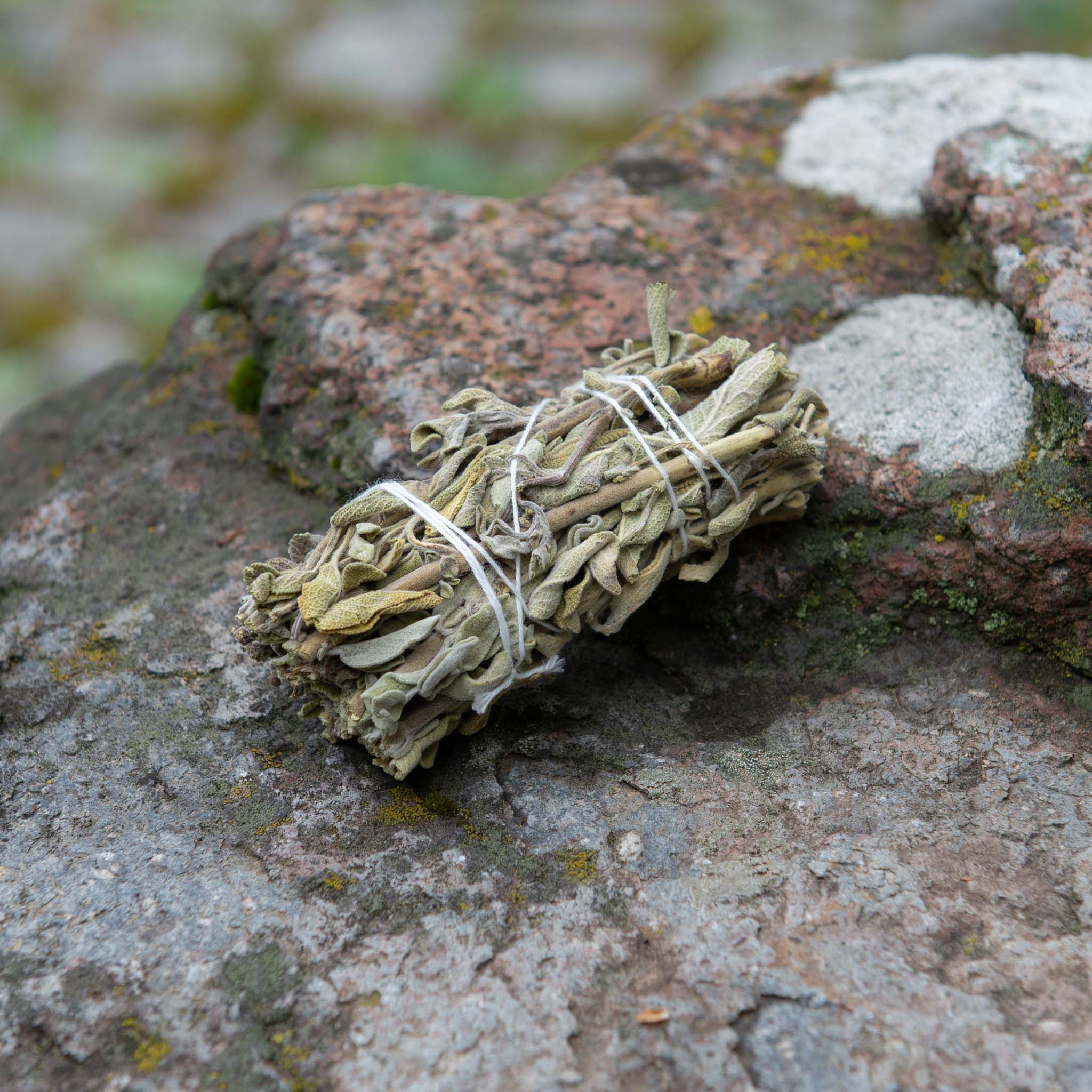 Premium White Sage - Body and Soul Goods