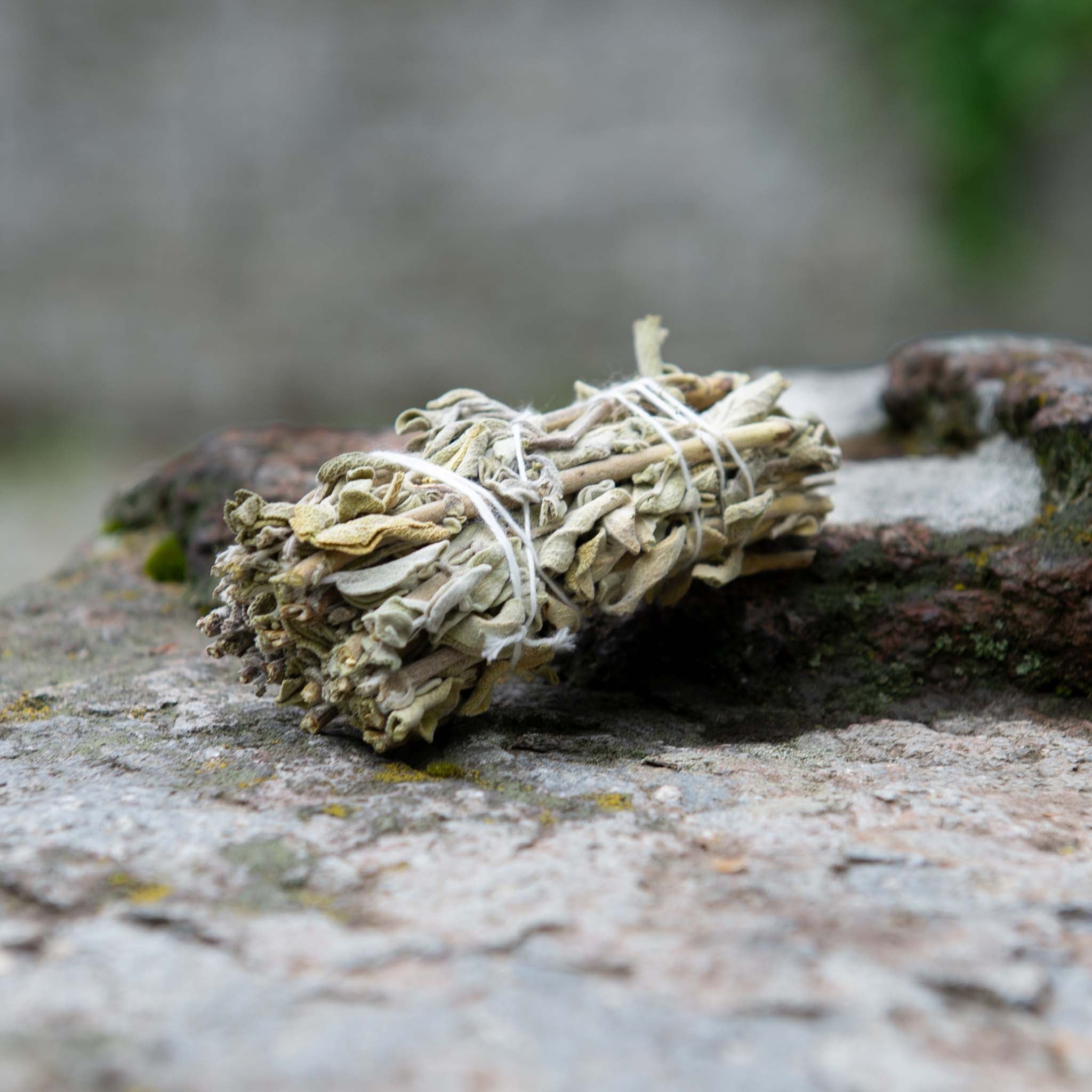 Premium White Sage - Body and Soul Goods