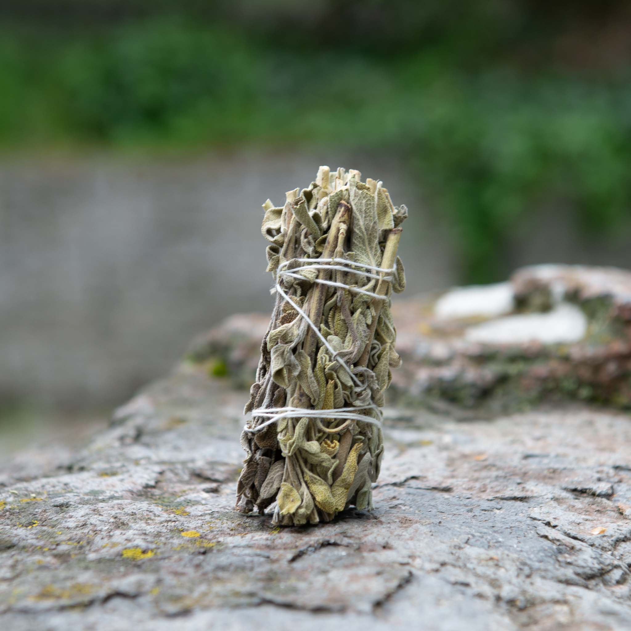 Premium White Sage - Body and Soul Goods