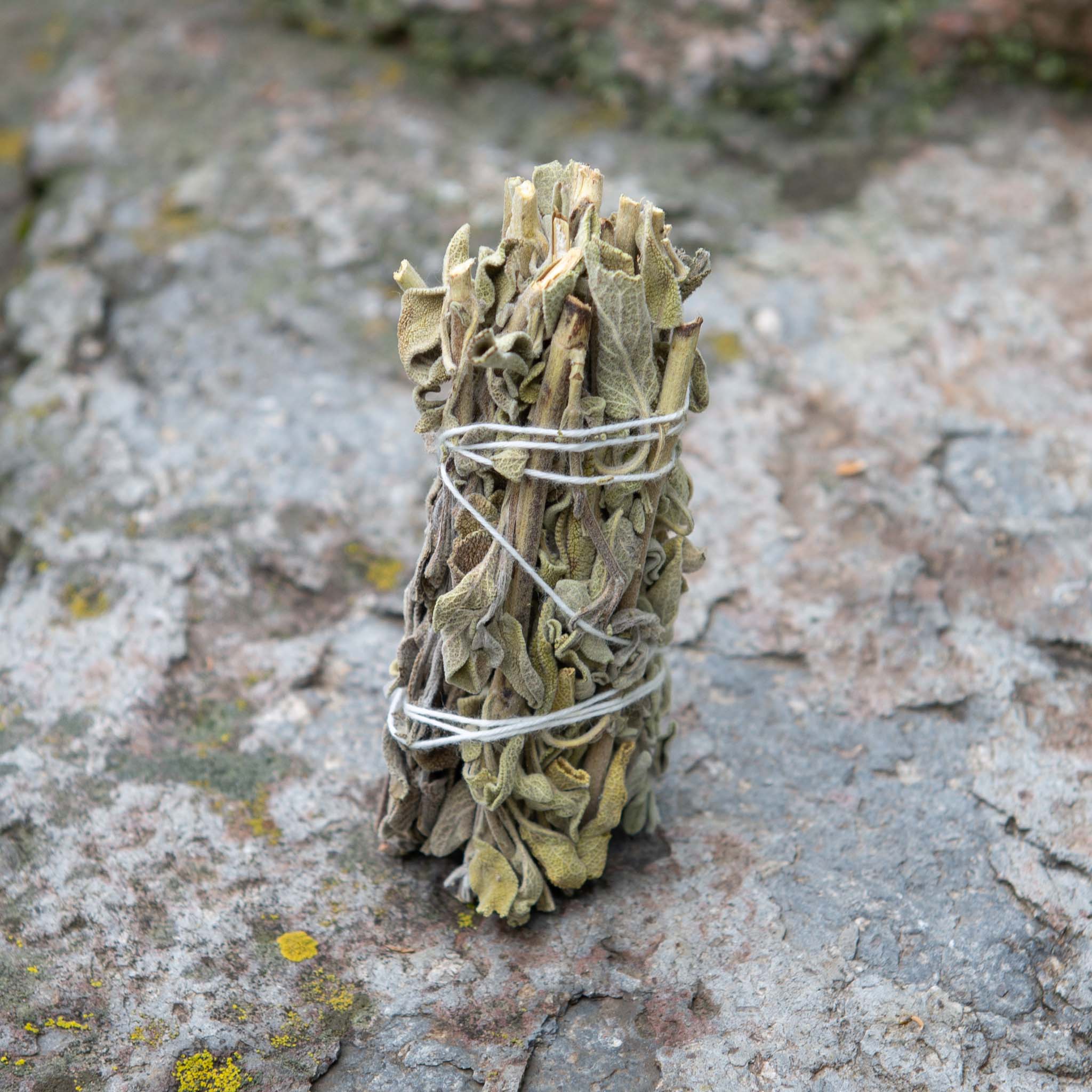 Premium White Sage - Body and Soul Goods